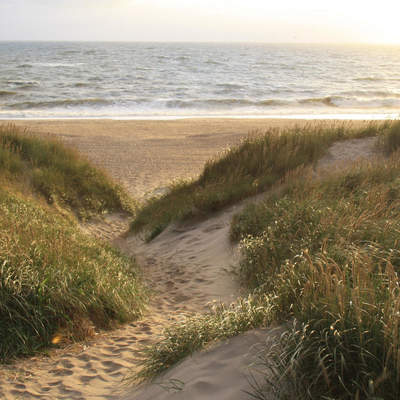 Vejlby Klit