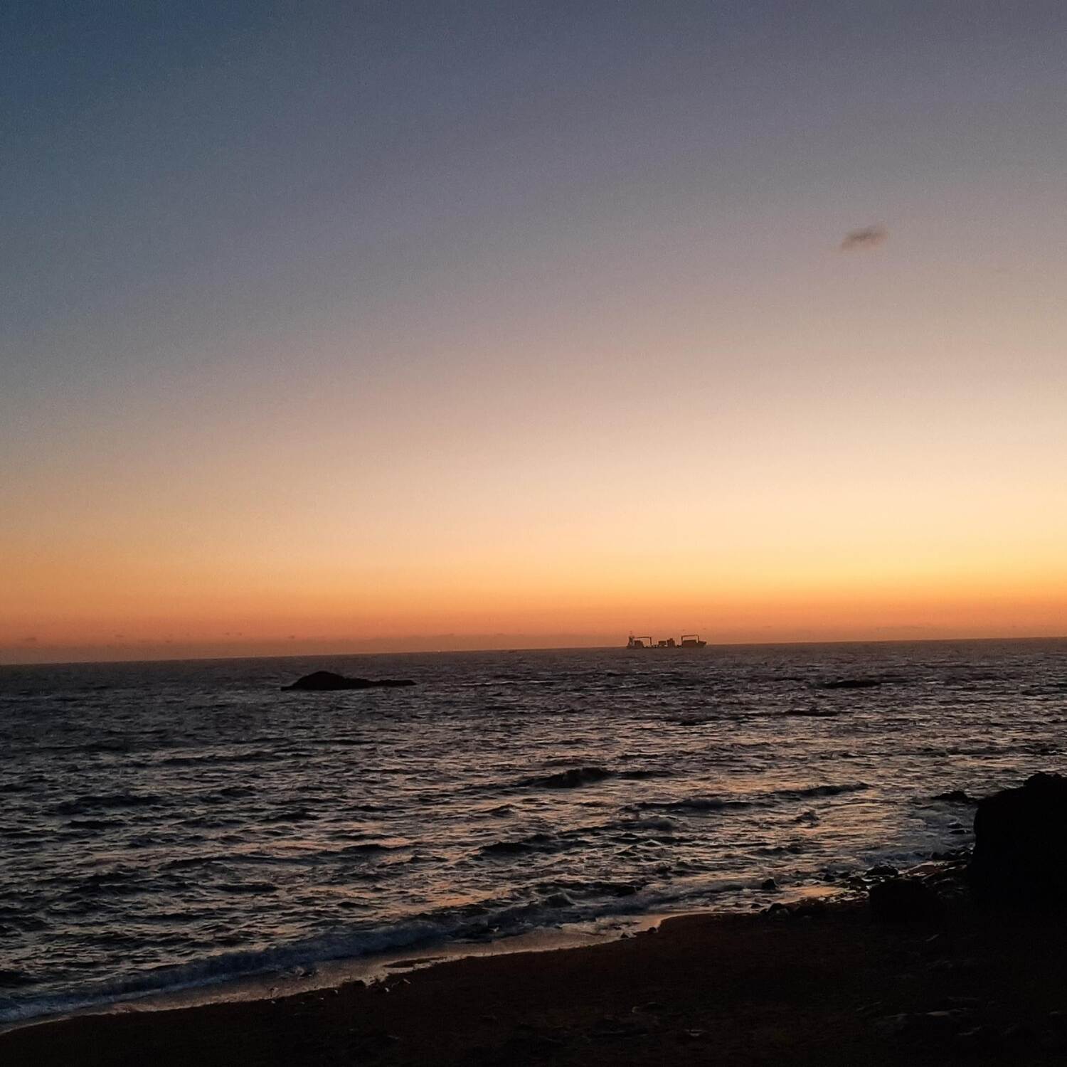 Pingus in Portugal
