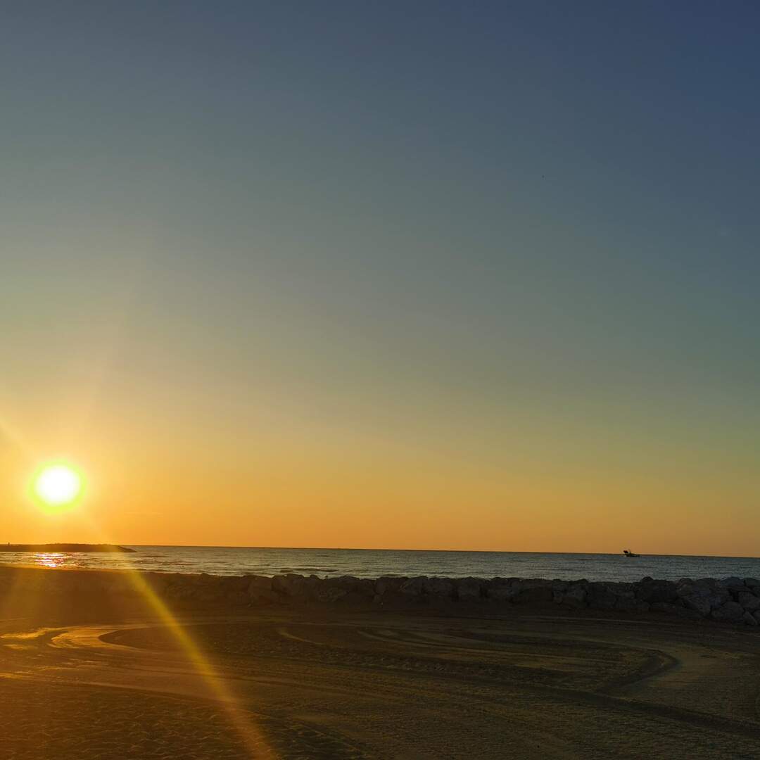 Immer der Sonne nach 2021