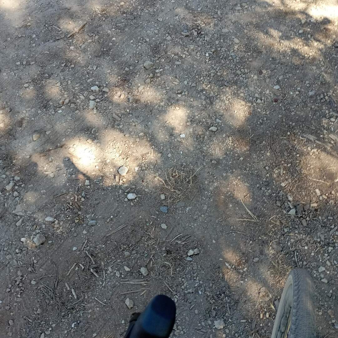 Test 1