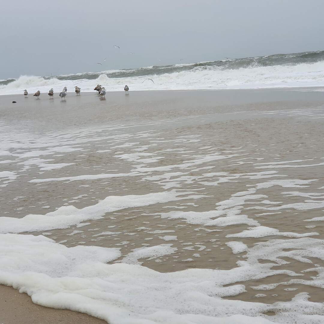 Sylt 2021