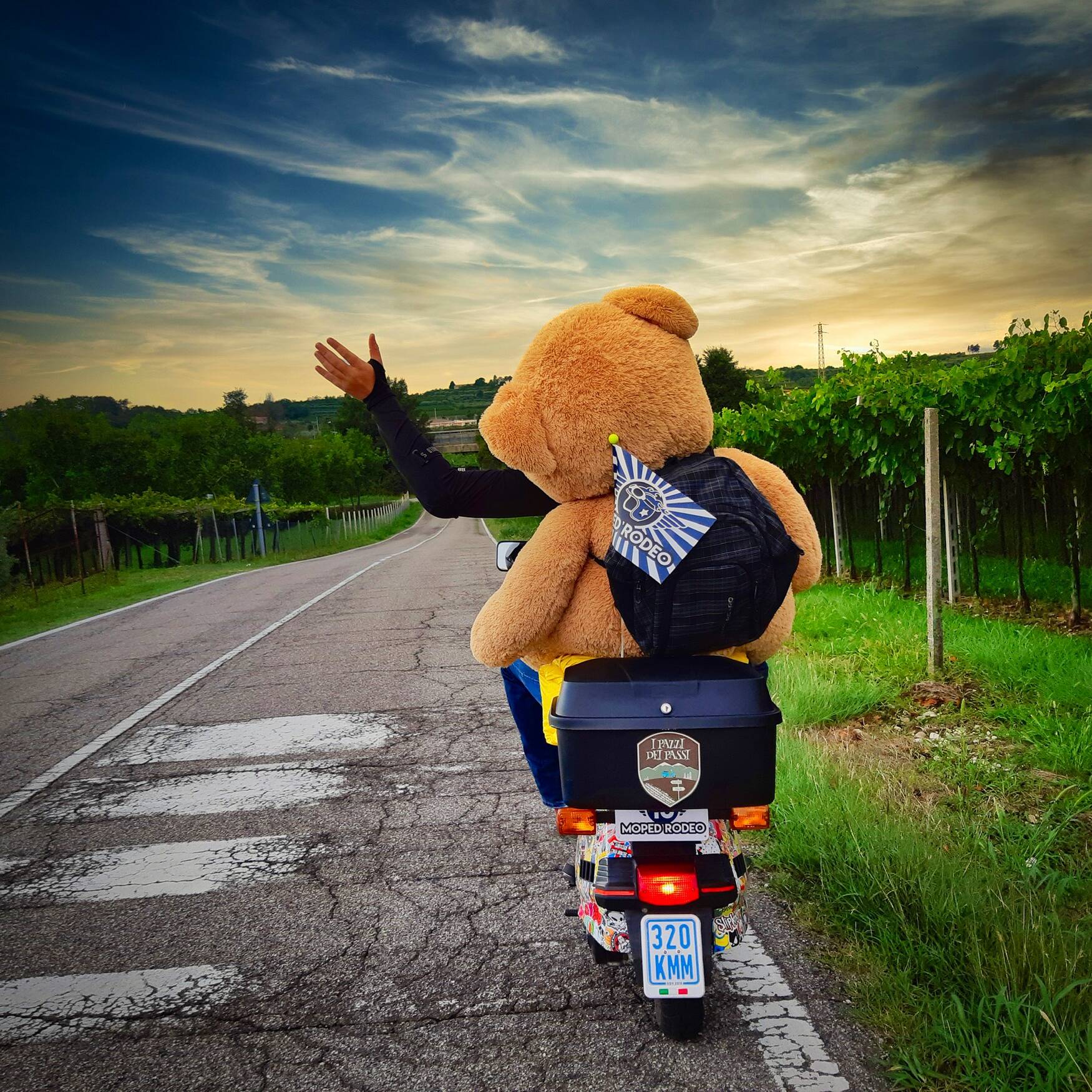 Moped Rodeo 2018