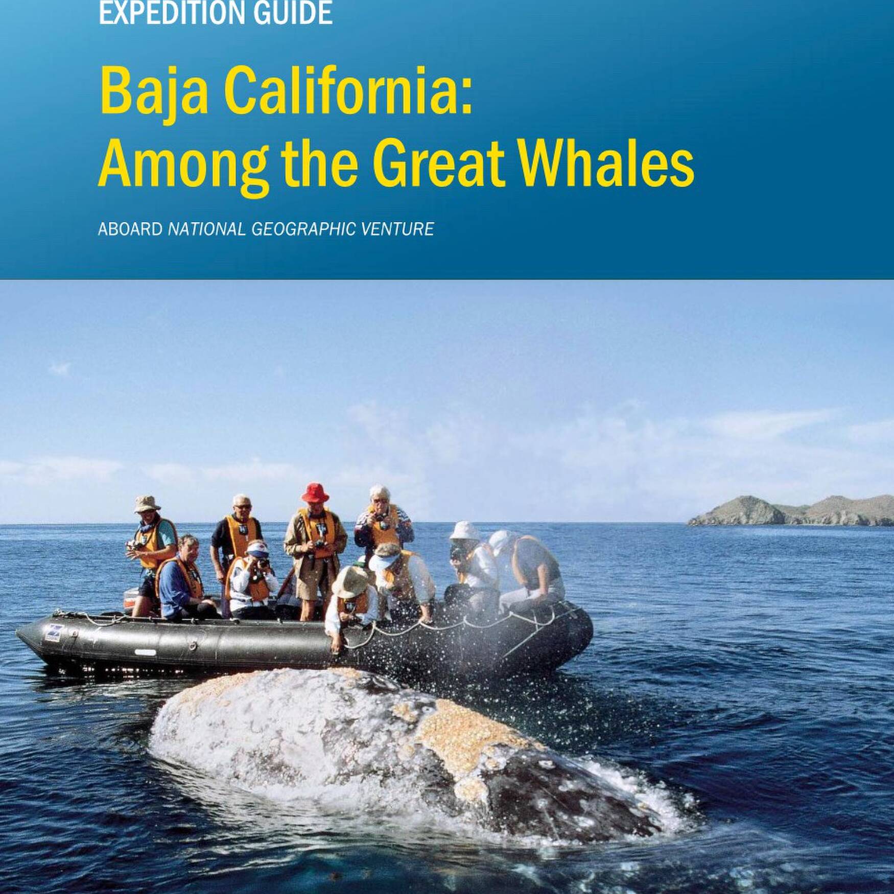 Among The Great Whales