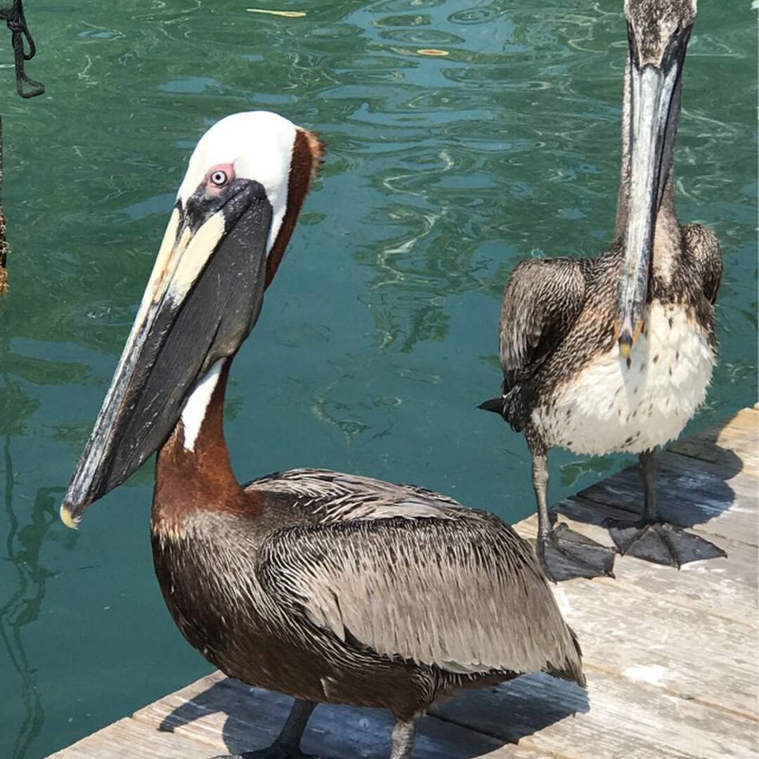 Florida 2019