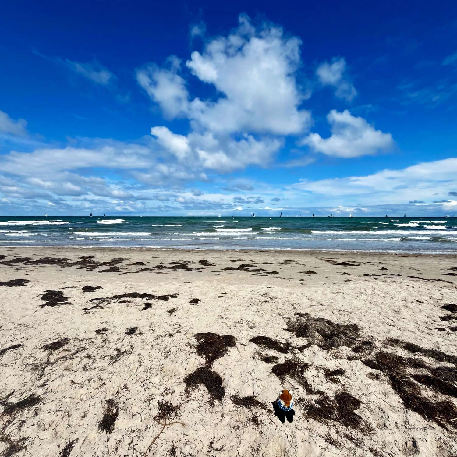 Ostsee 2025