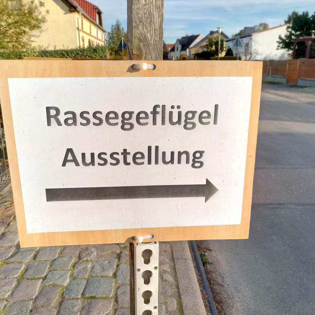 Rassegeflügelausstellung