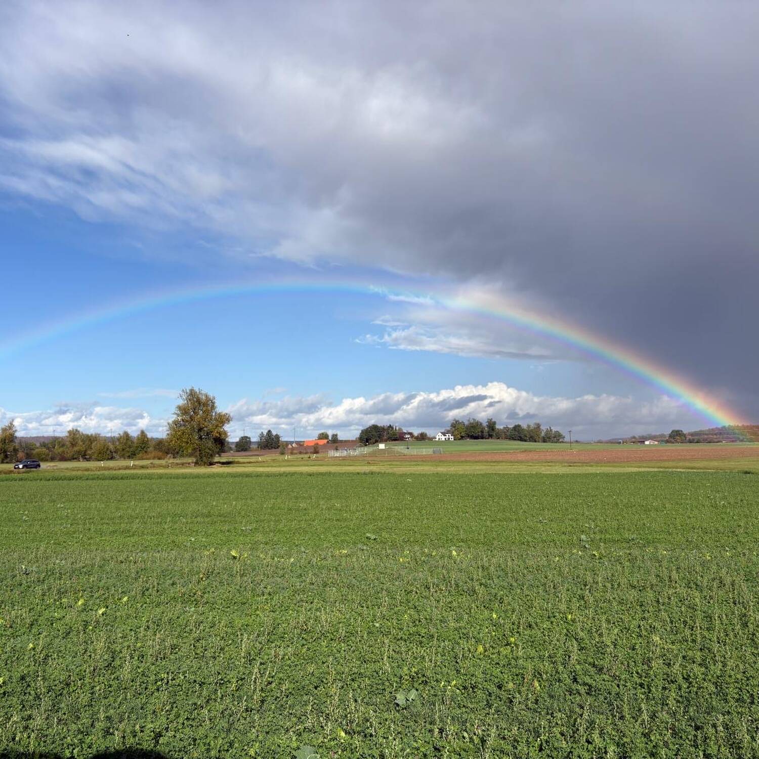 Staybettertour Herbst