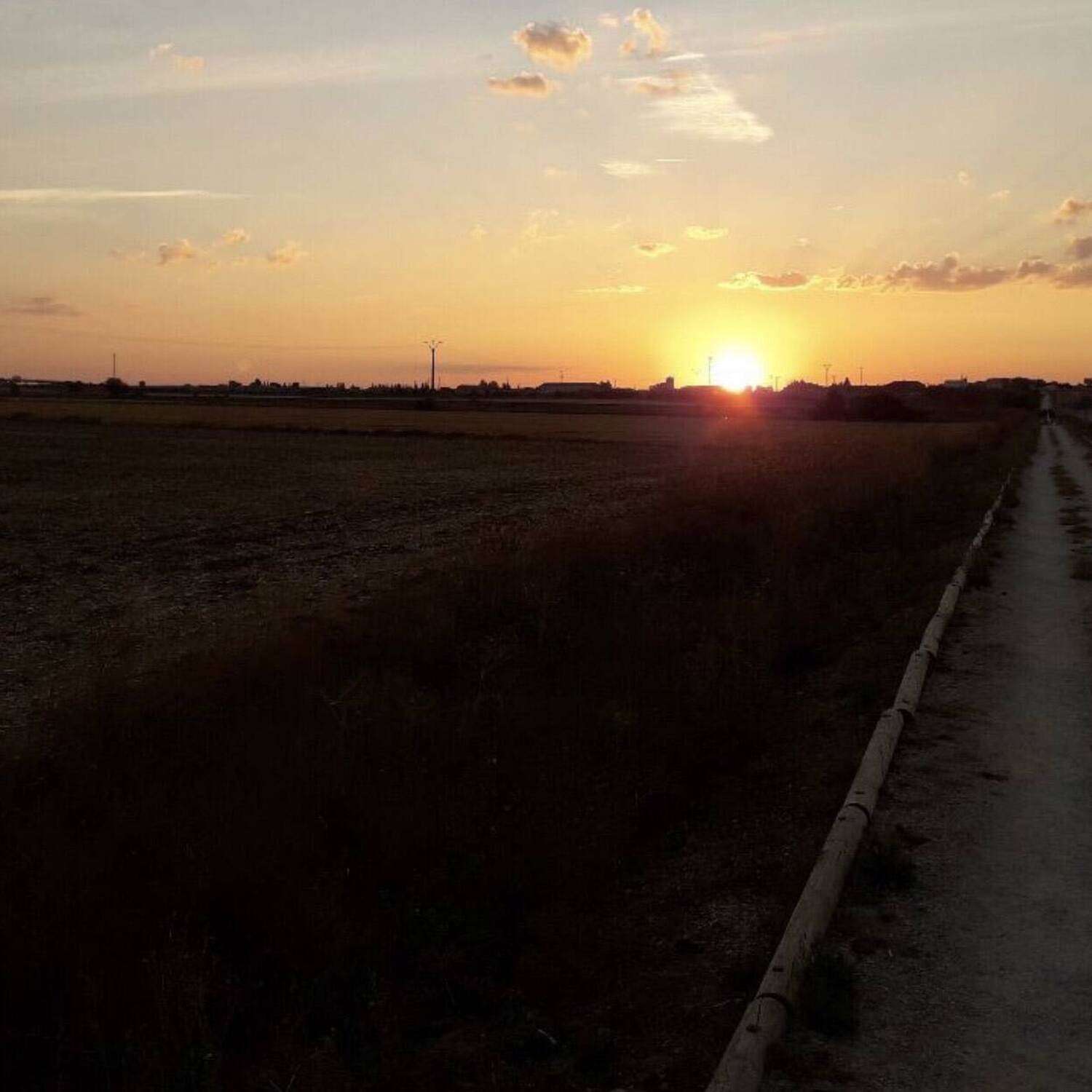 LEAVE IT ON THE CAMINO