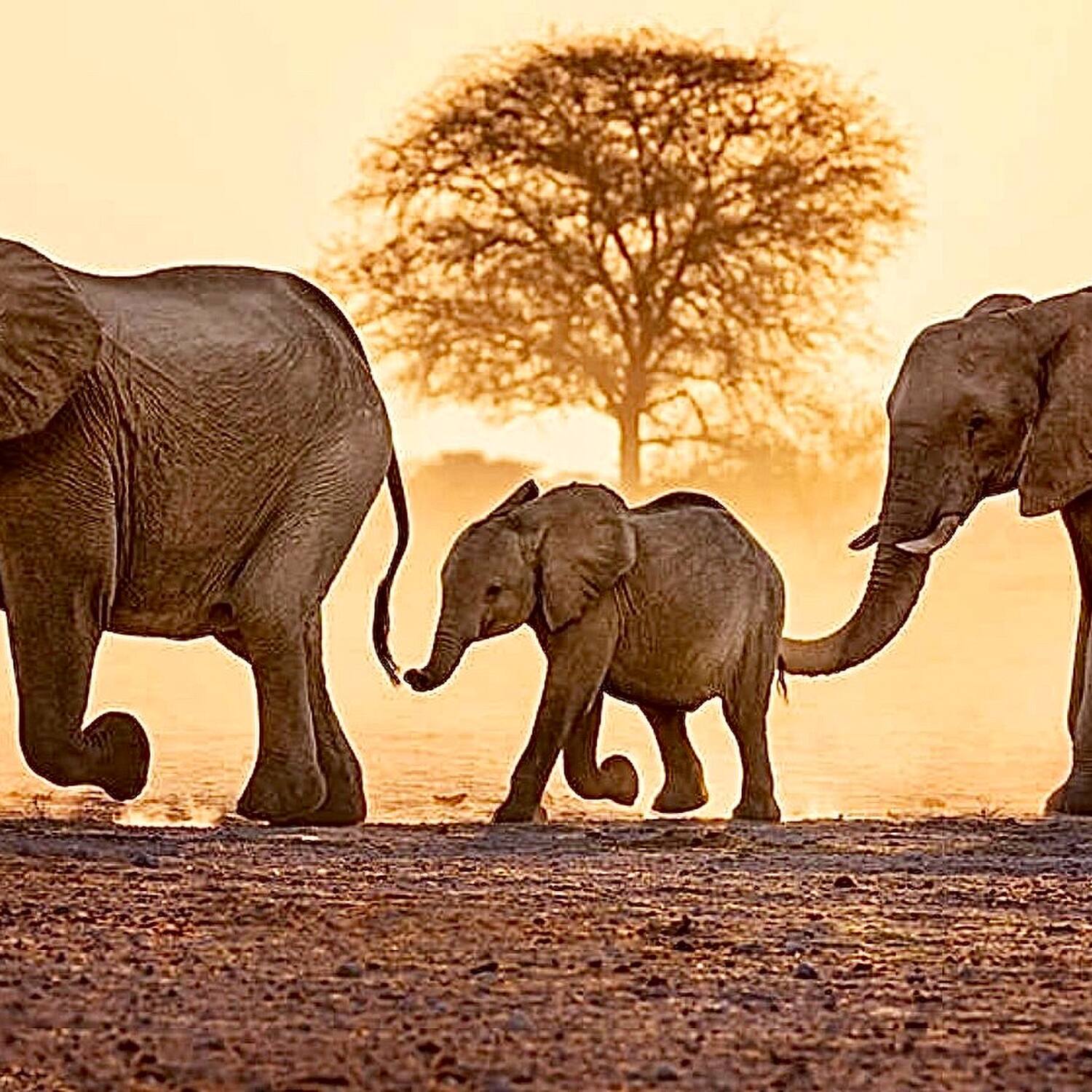 Afrika ist kein Land