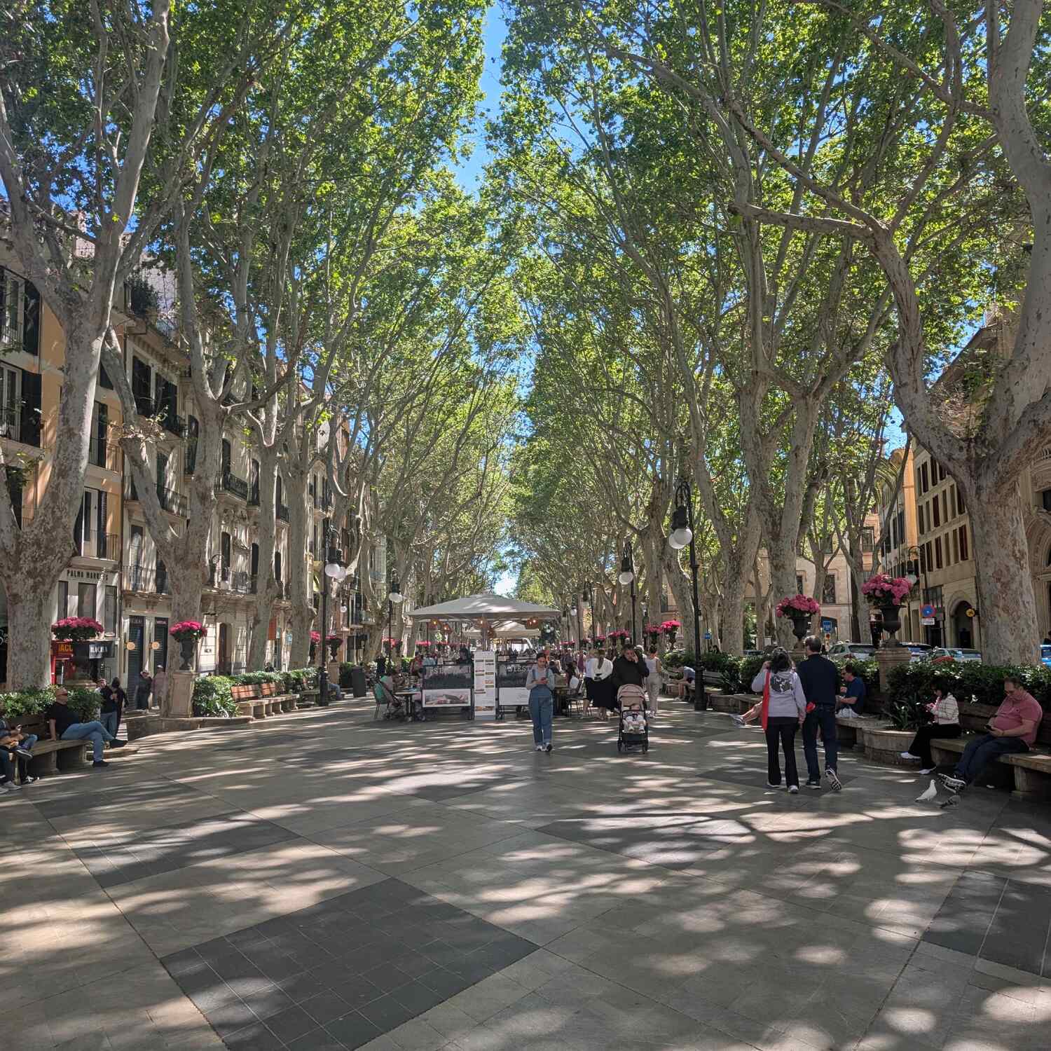 Mallorca