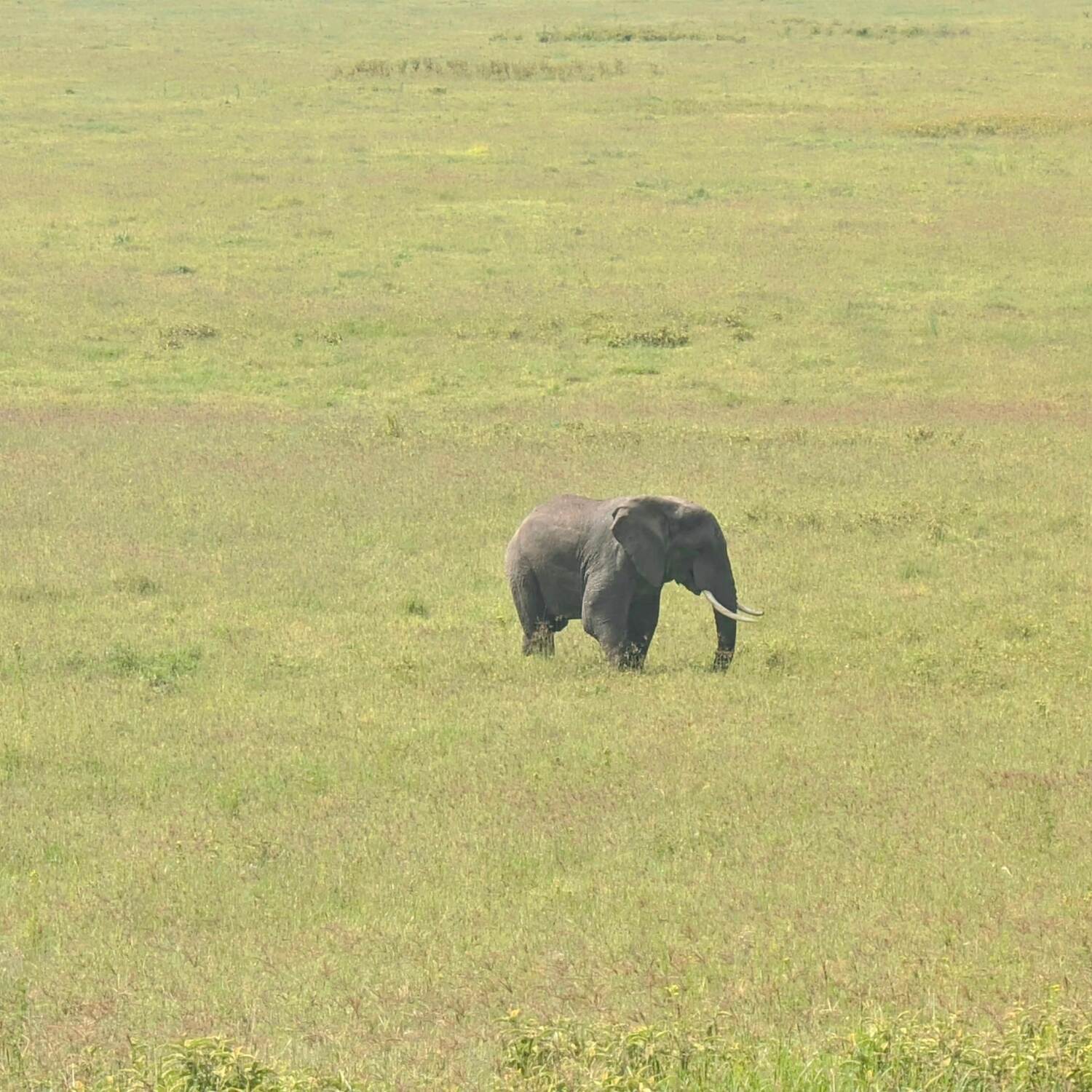 Tansania