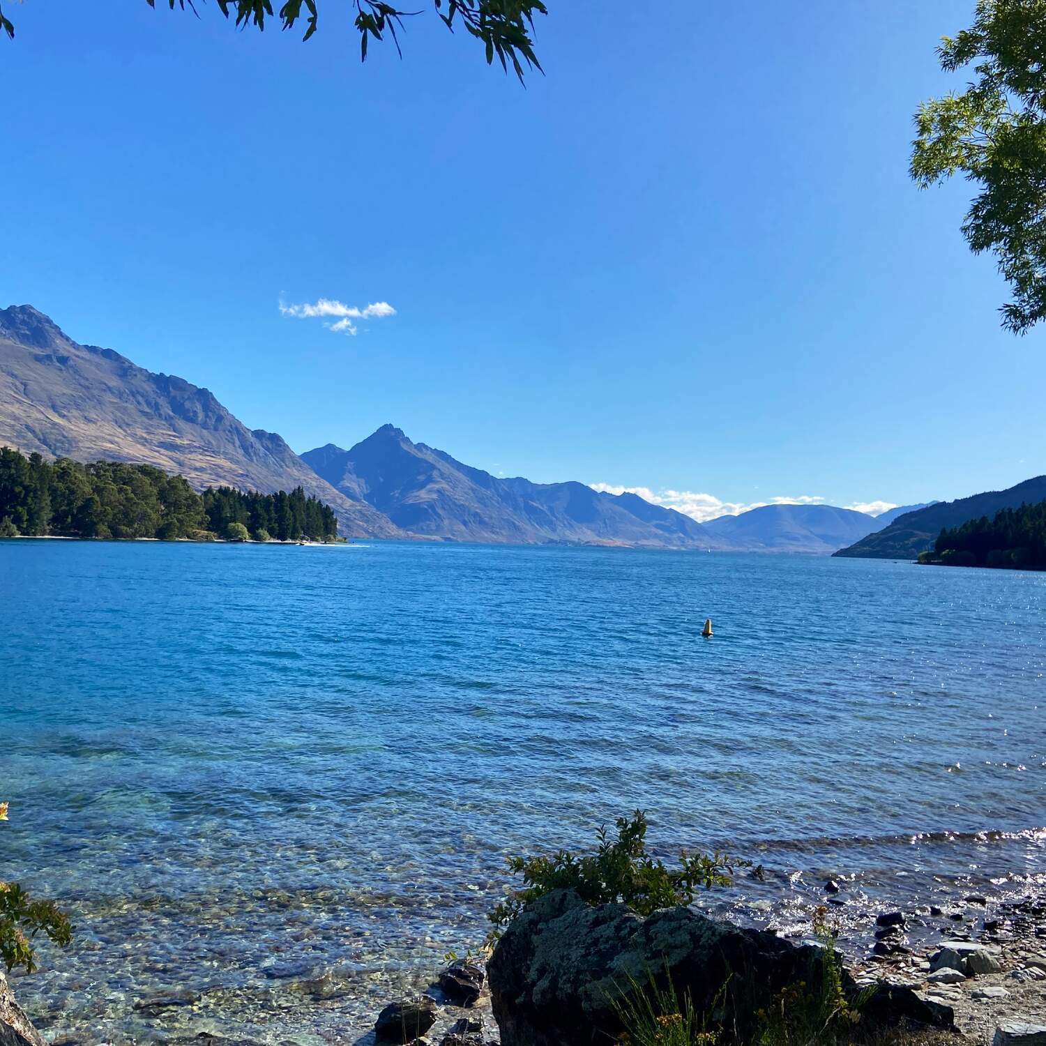 Reise nach u. durch Neuseeland