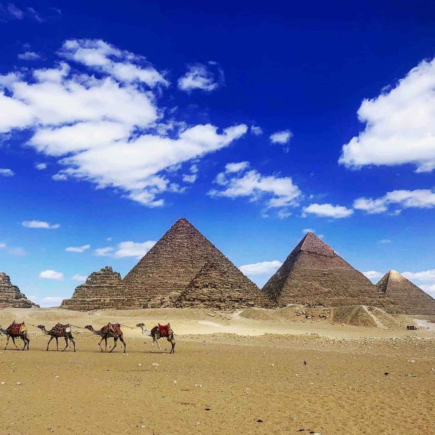 Egypt 🇪🇬