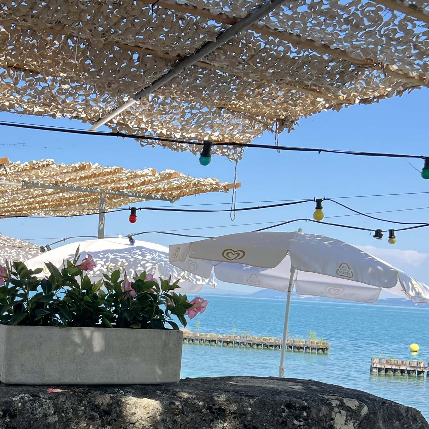 Italianita