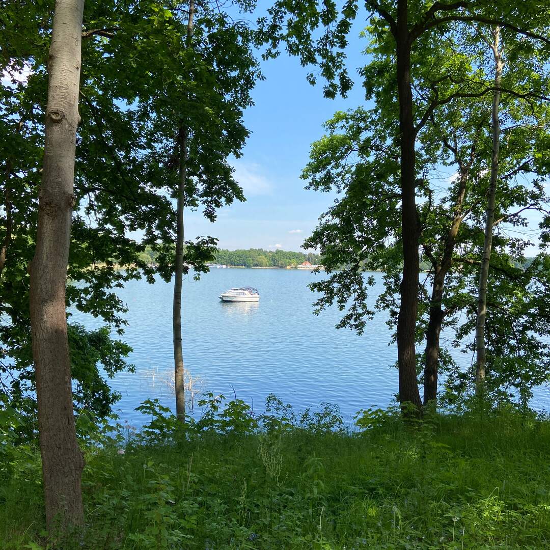 Hauptsache raus