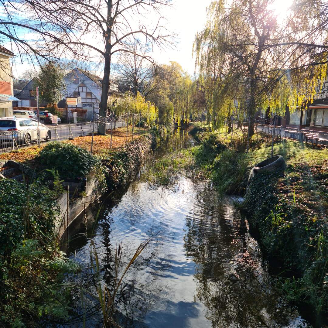 Rotenburg 2021