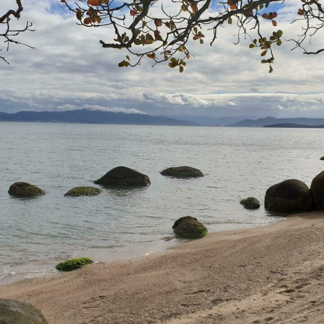 Florianópolis 2019