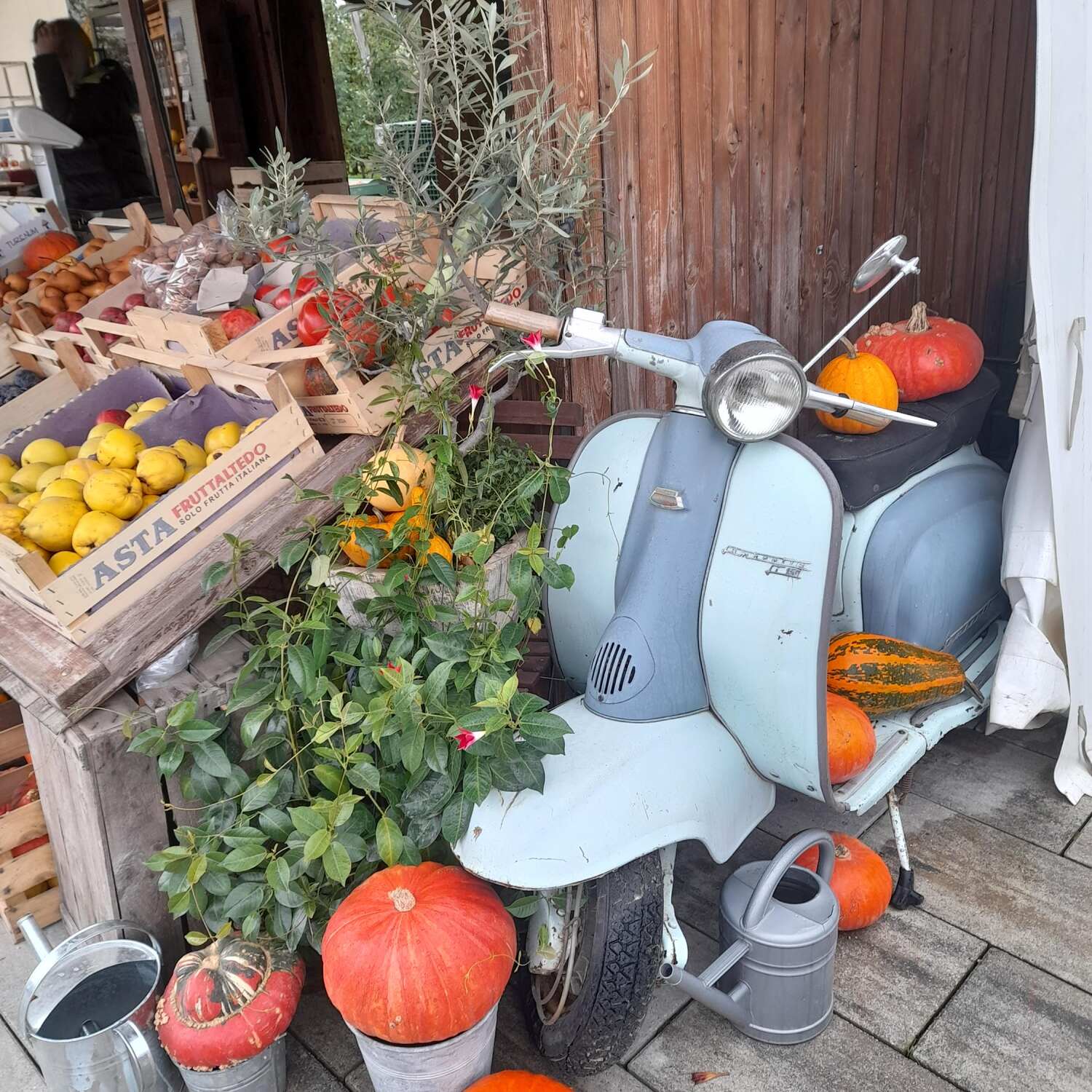 Kurztrip nach Südtirol