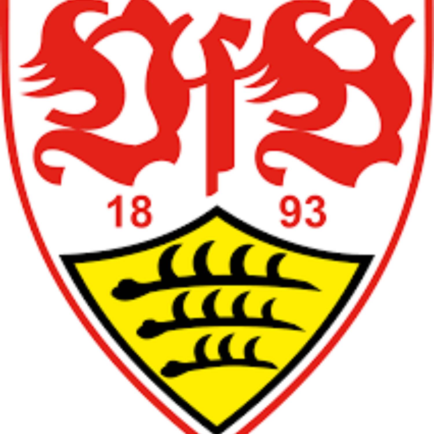 VfB gegen Leverkusen