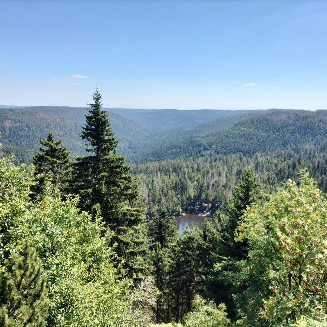 Schwarzwald
