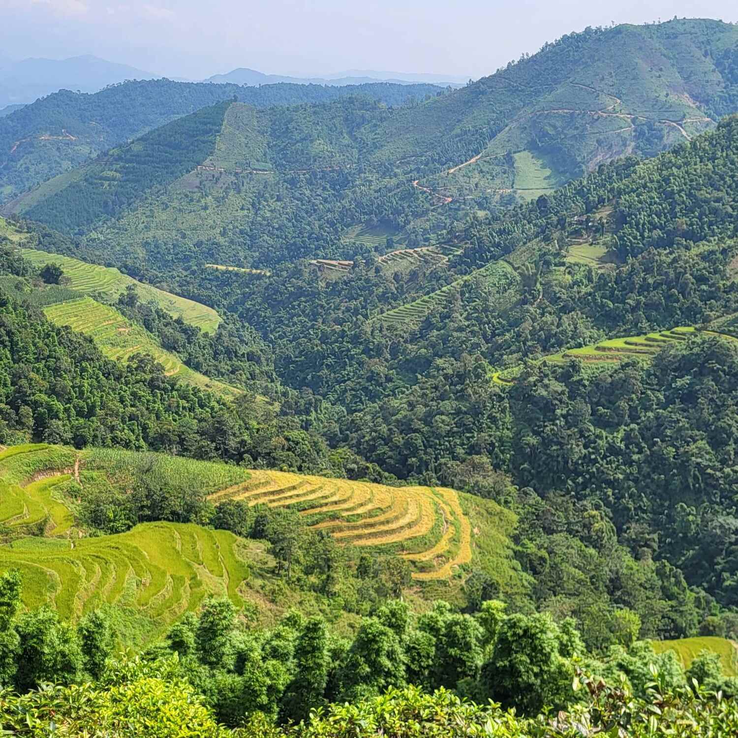 Vietnam