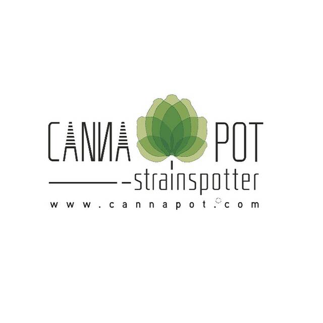 Canna pot
