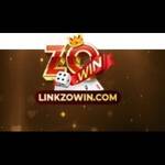 Zowin com