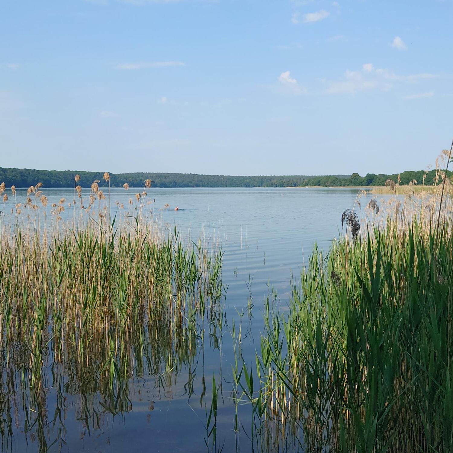 Feldberger Seenlandschaft