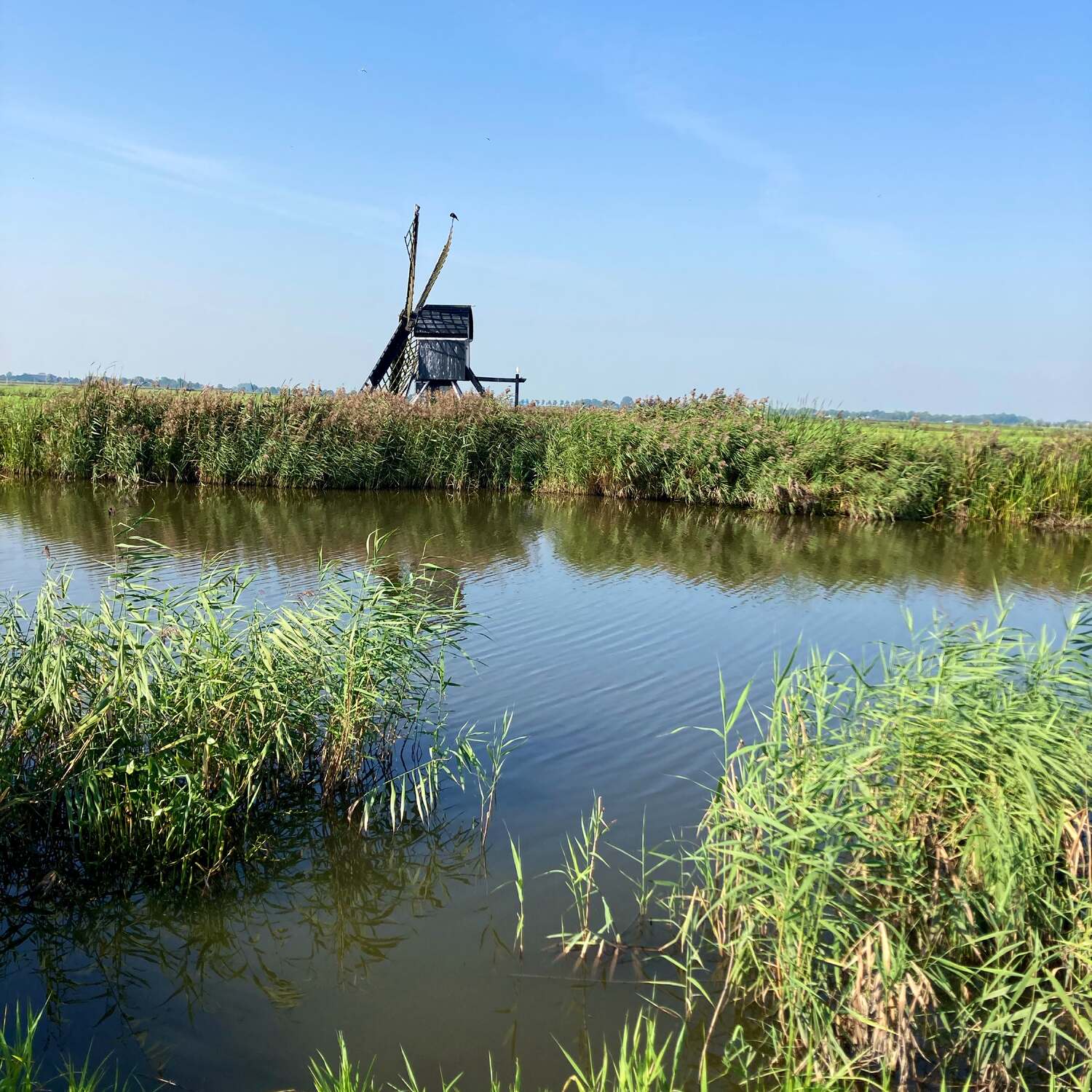 Elfstedentocht wandelen