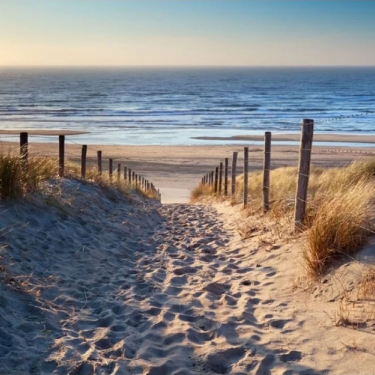 Nordsee 2025 (🇩🇪 & 🇩🇰)