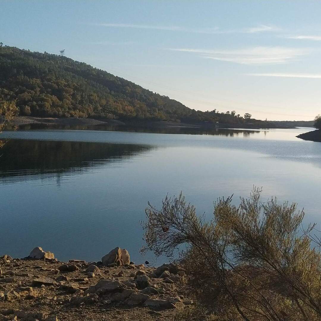 Virée au lac de Saint Cassien