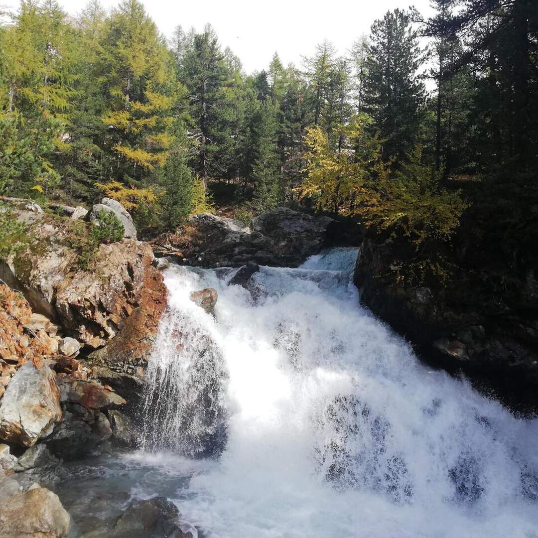 Hiking and Nature