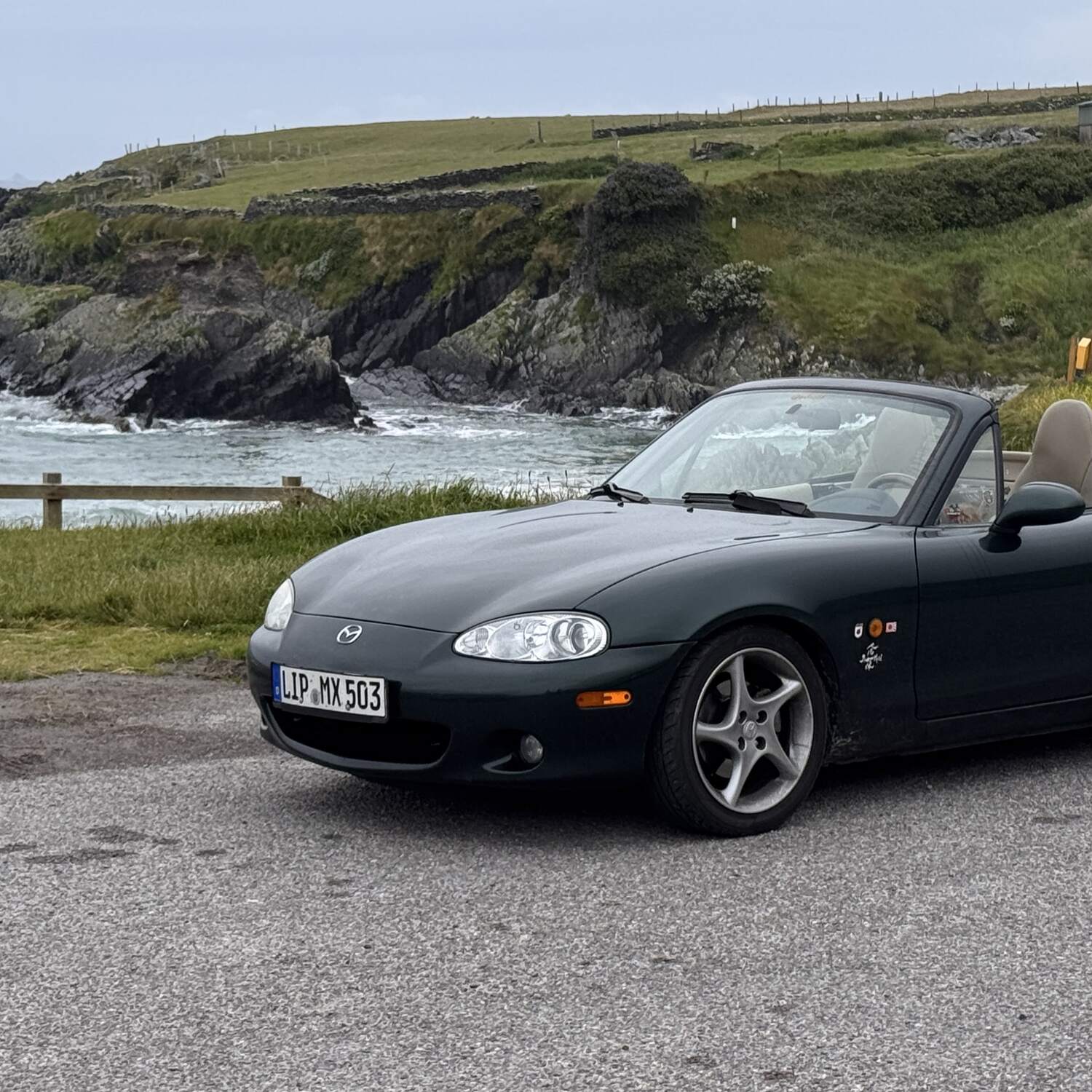 Irland - alles grün