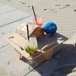 Bluey Travels