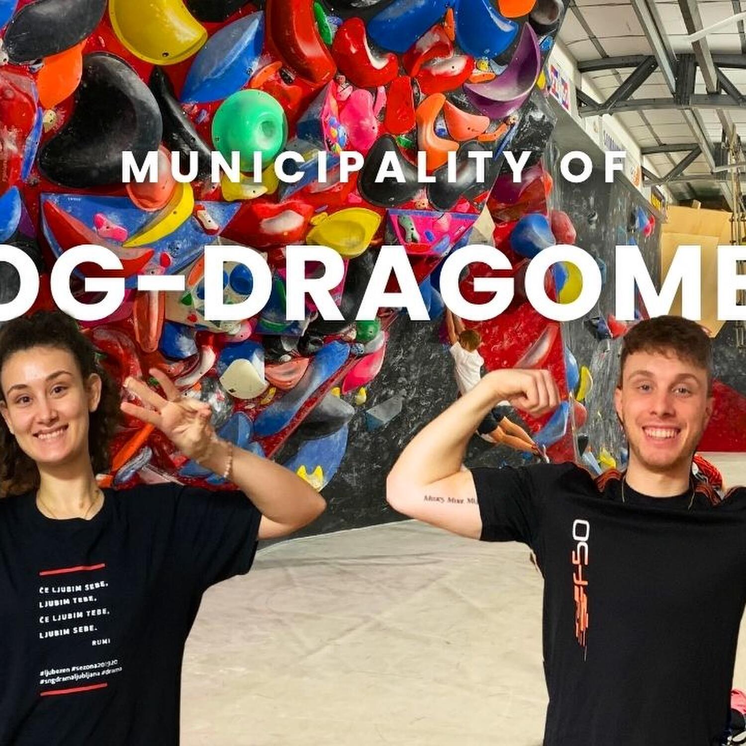 M. of Log - Dragomer #13