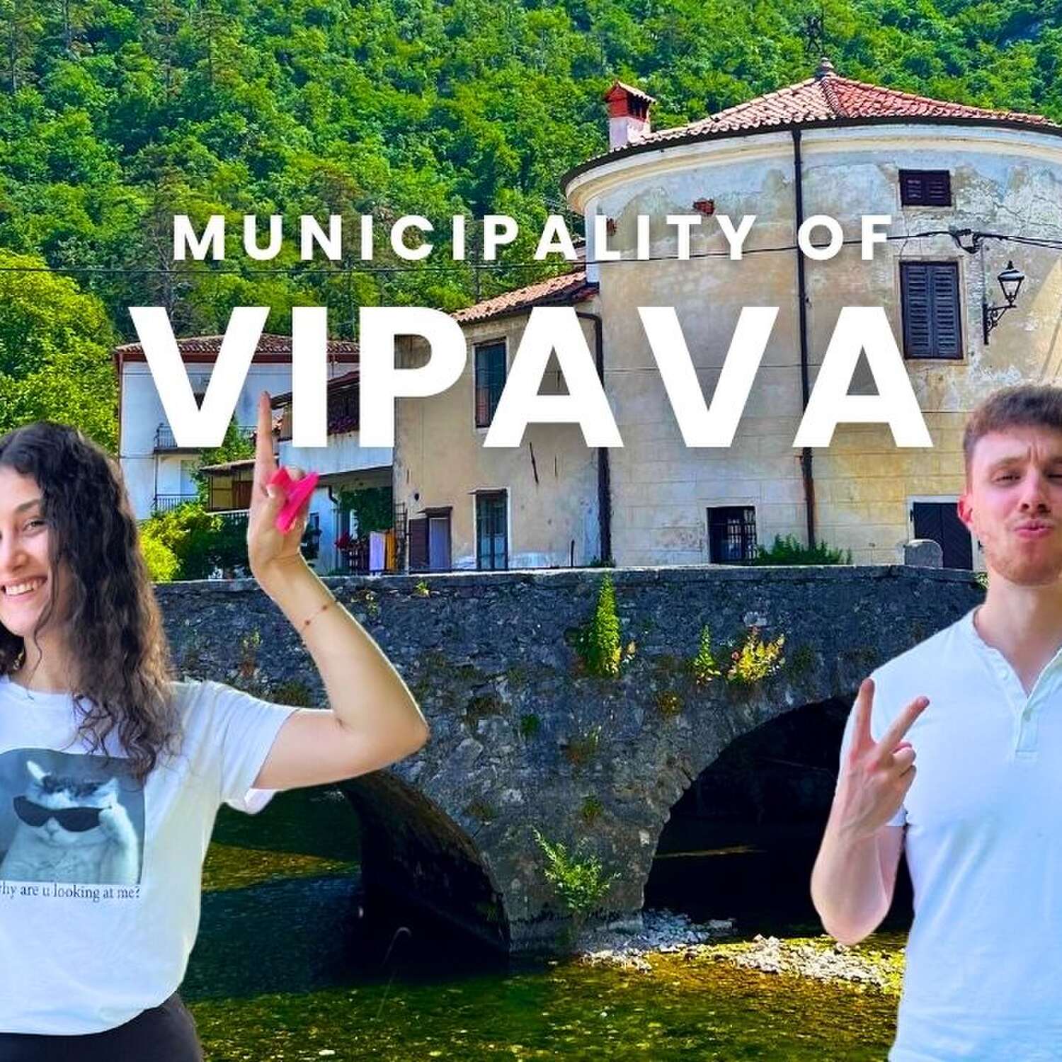 Municipality of Vipava #22