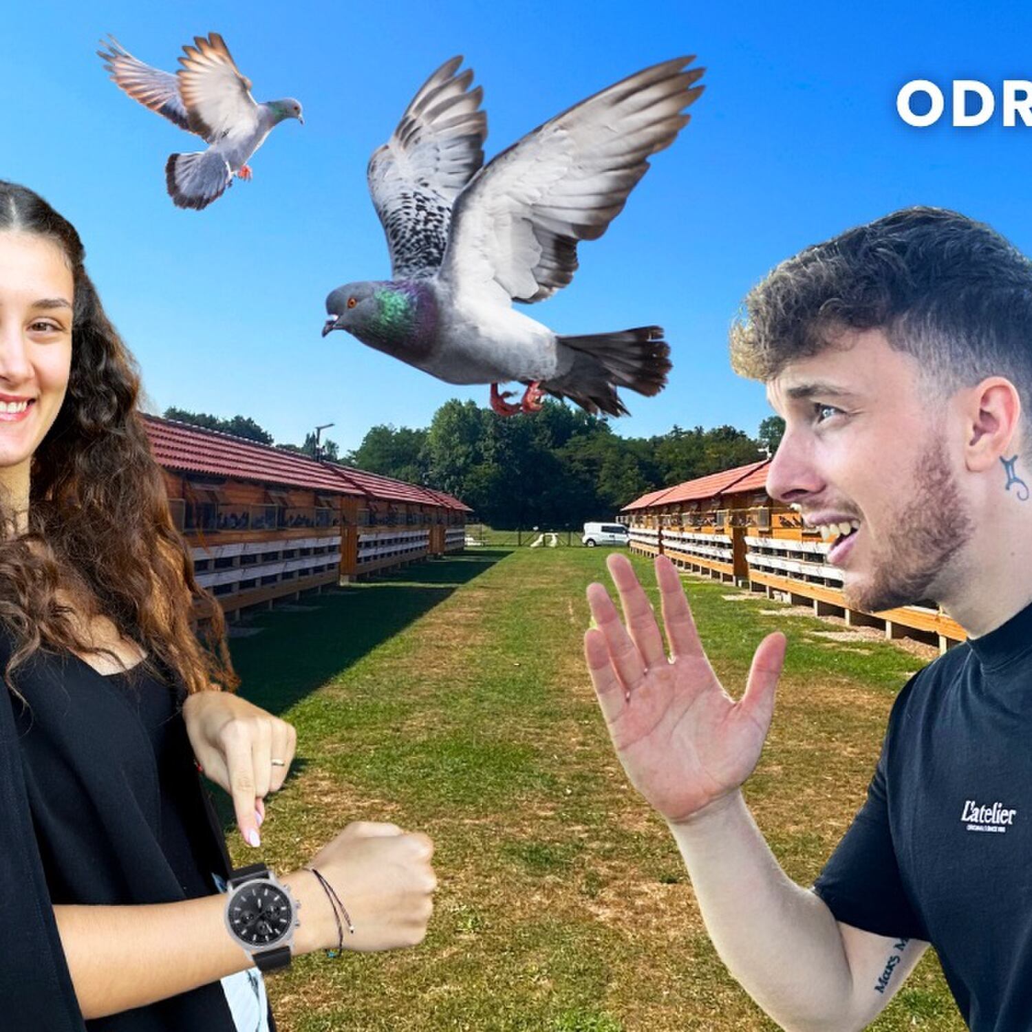 Municipality of Odranci #25