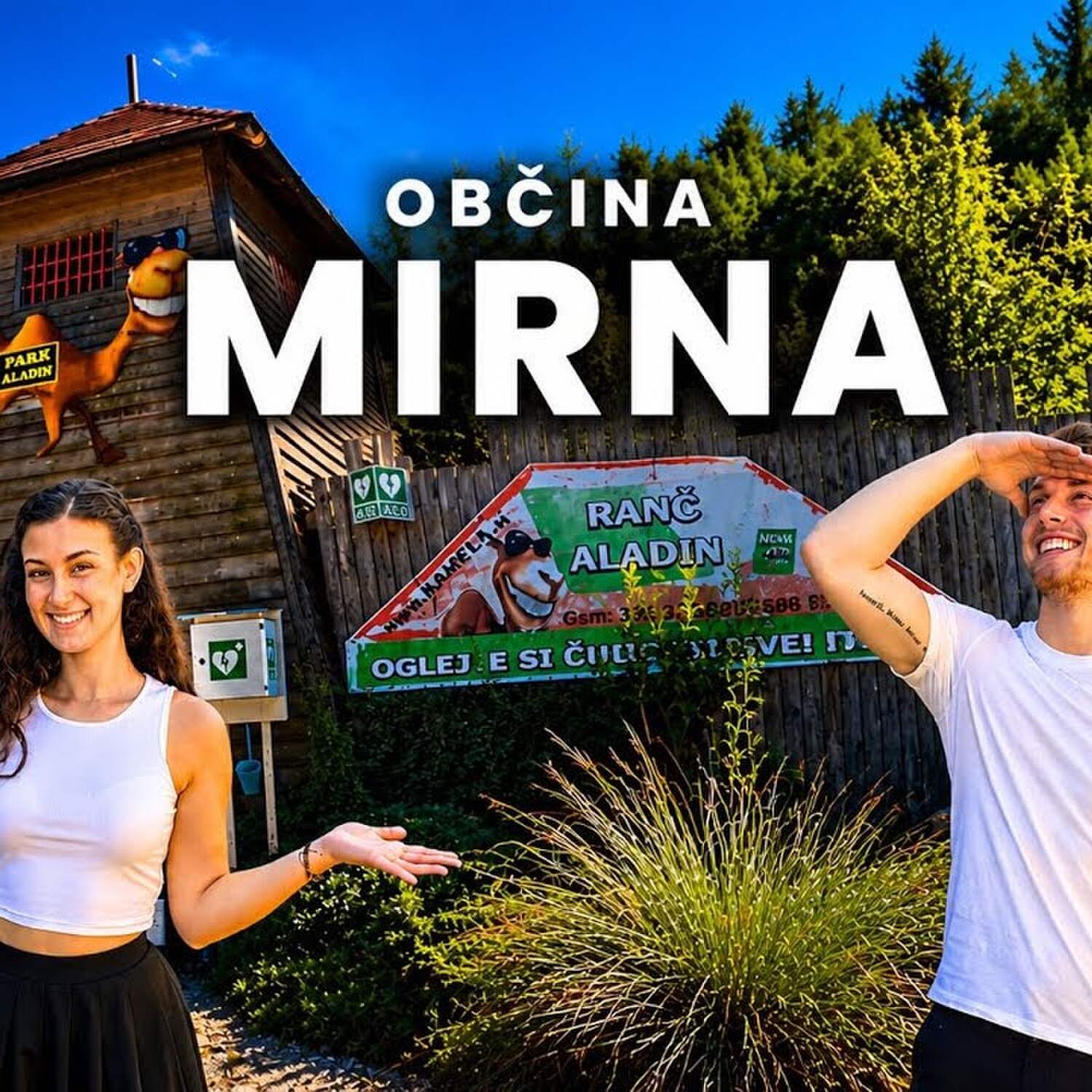 Občina Mirna #7
