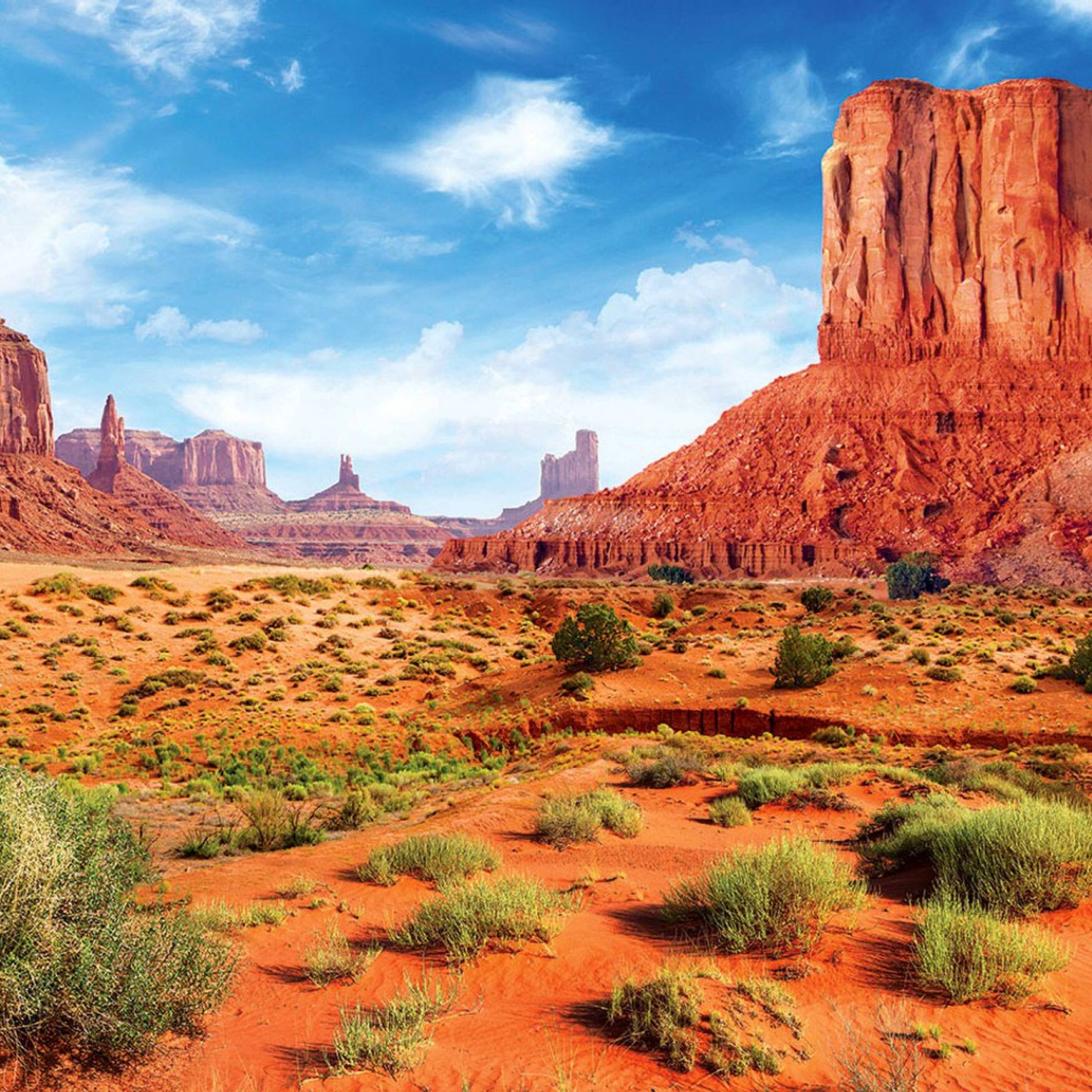 Wedding and honeymoon USA