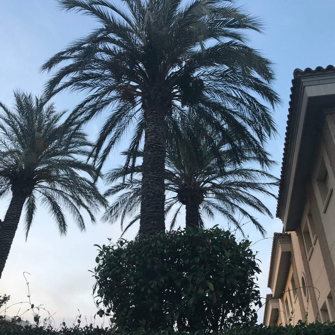 Spanien 2018
