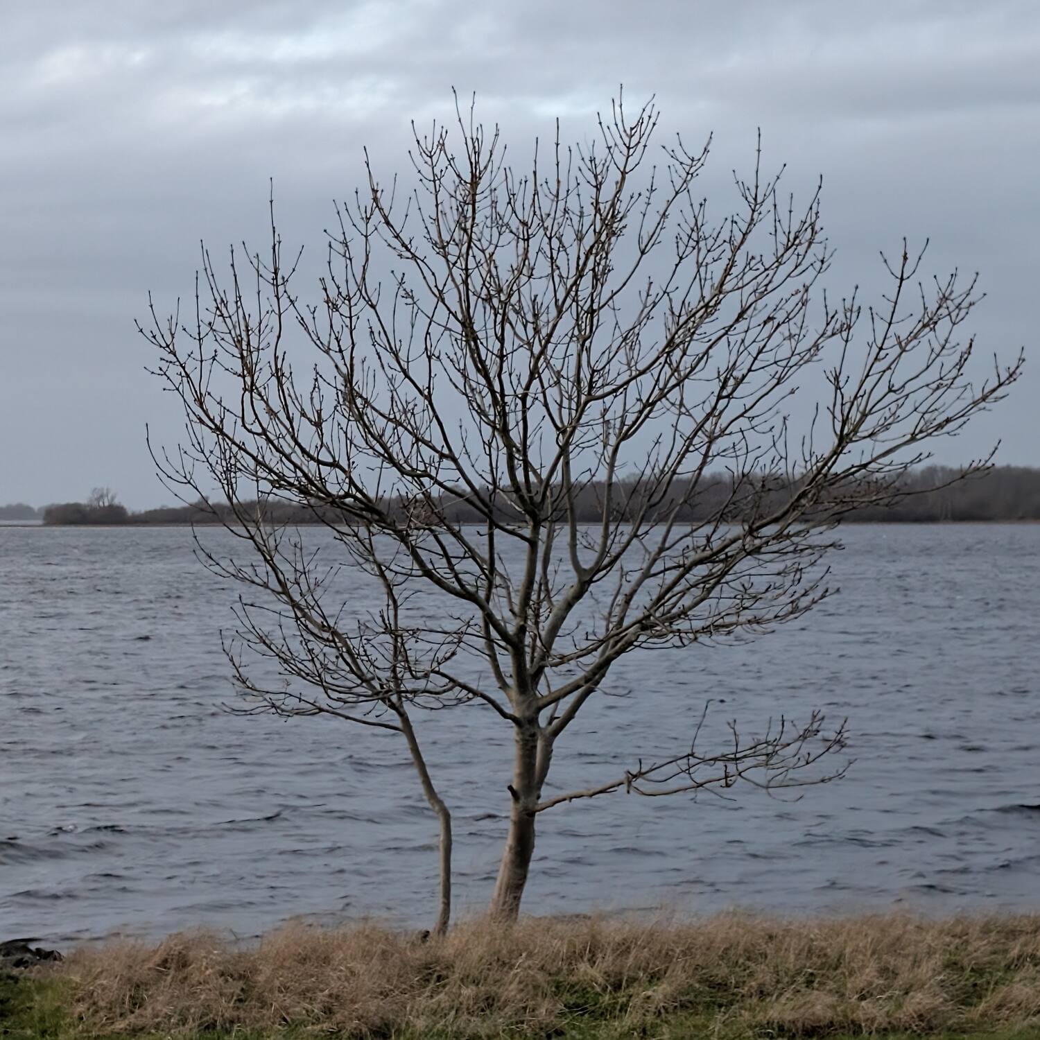 2026 02 Oranjeplaat / NL