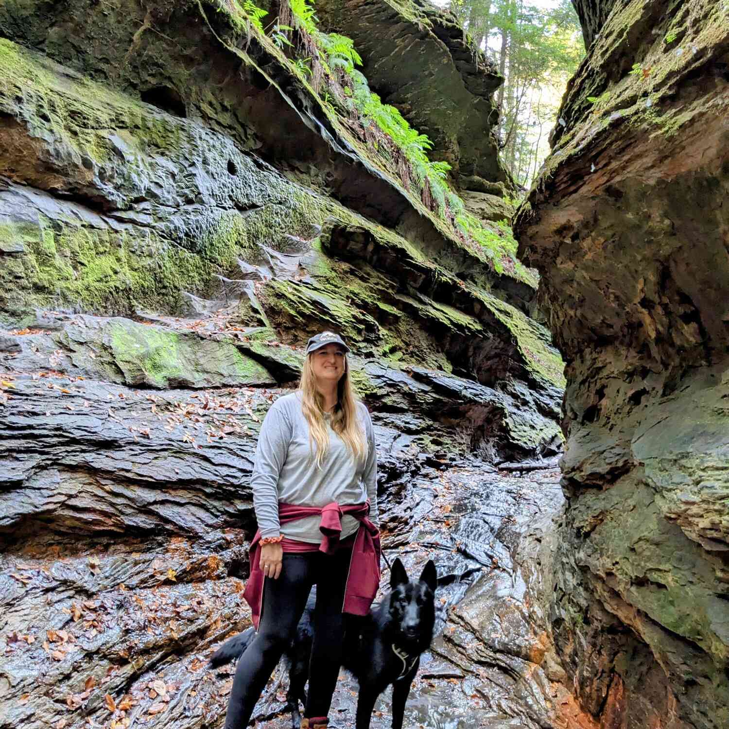 Turkey Run State Park