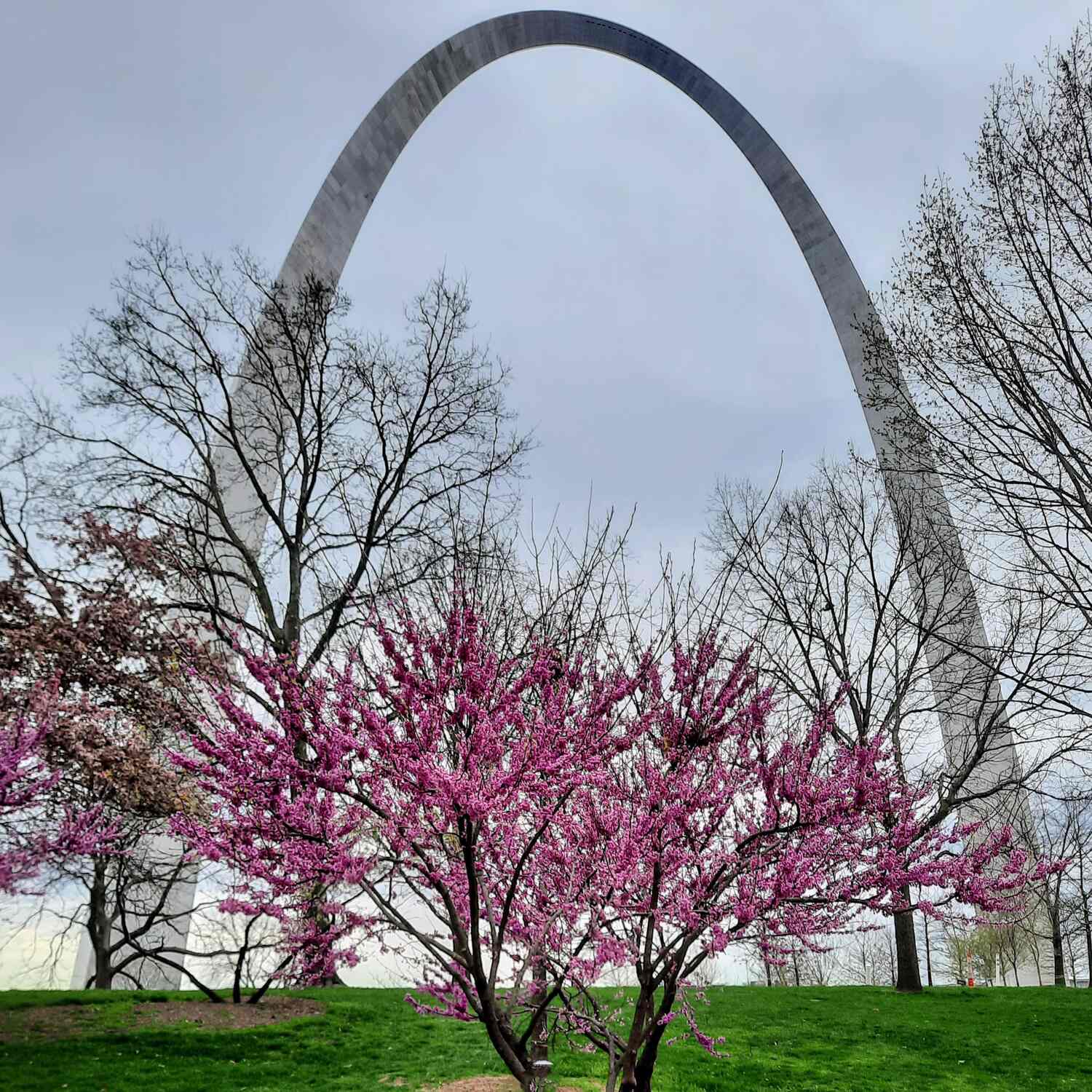 St. Louis Arch