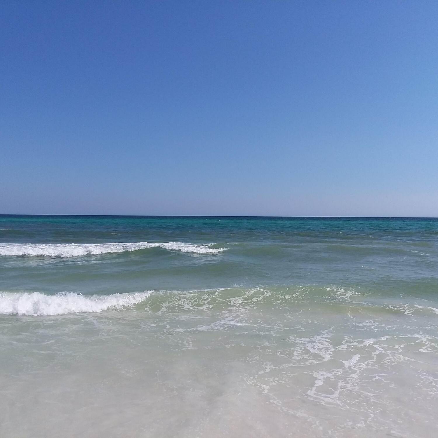 Florida 2019