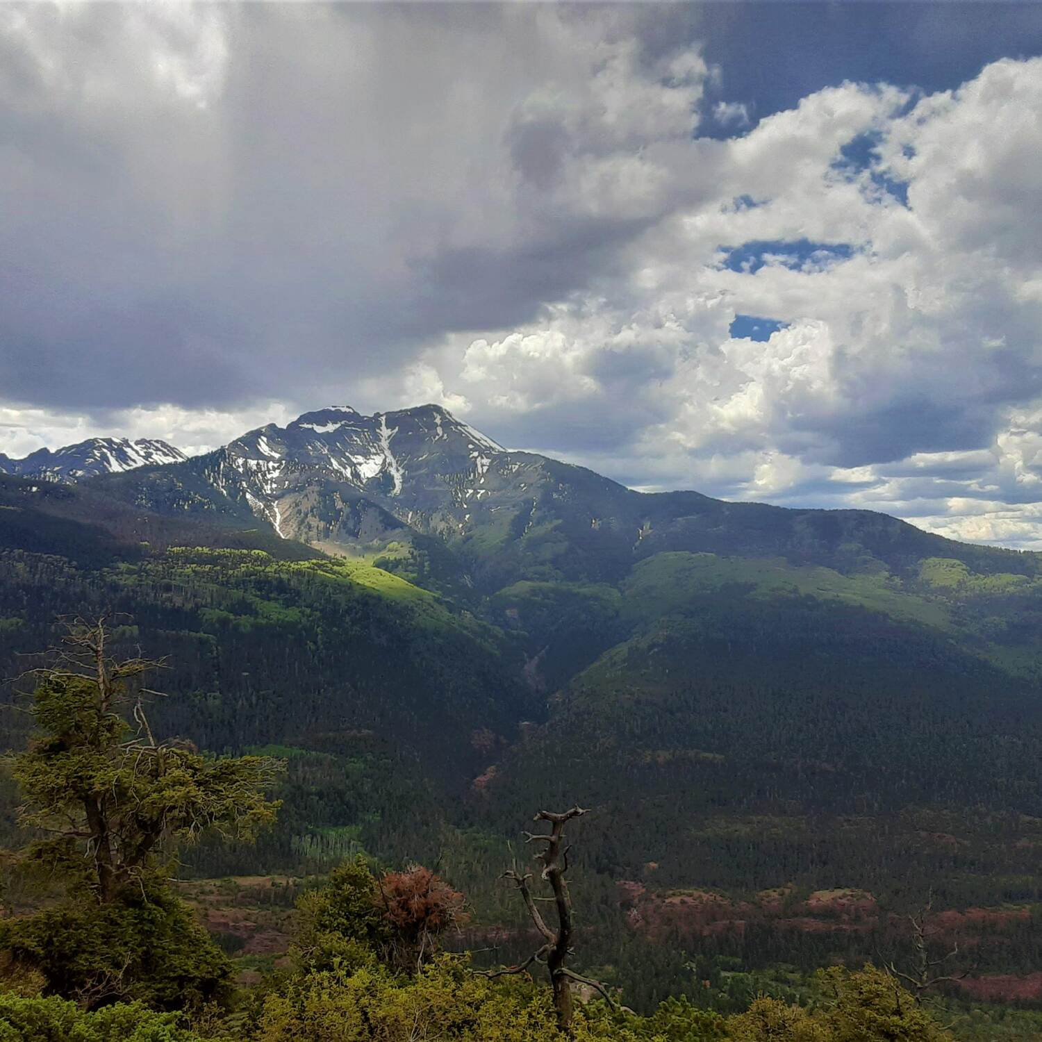Colorado 2020