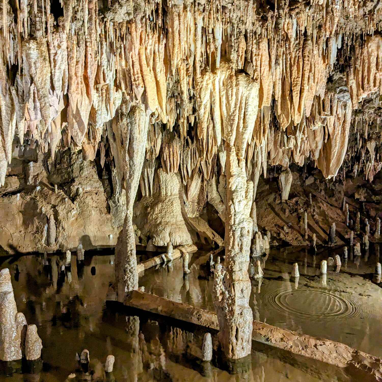 Meremac