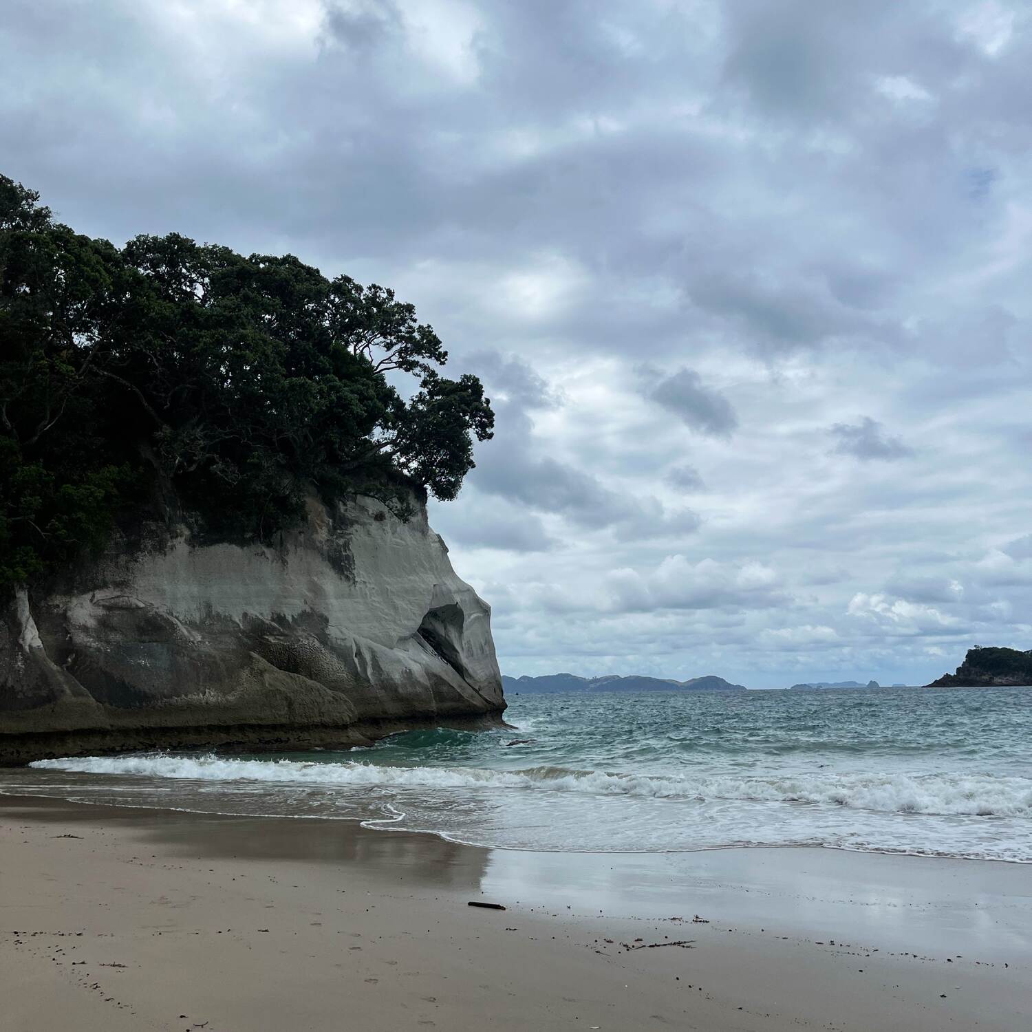 New Zealand 🇳🇿🥝