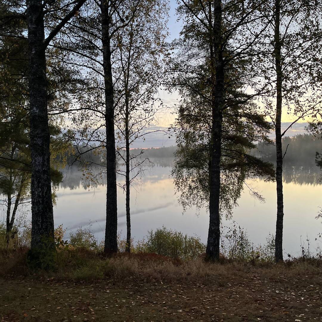 Herbsturlaub in Schweden 22
