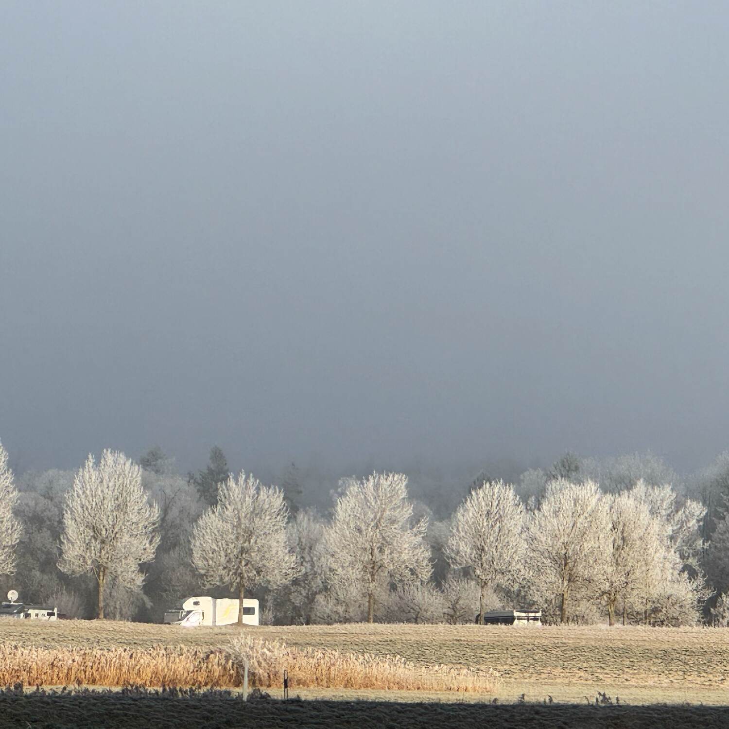 Winterwonderland Schwarzwald
