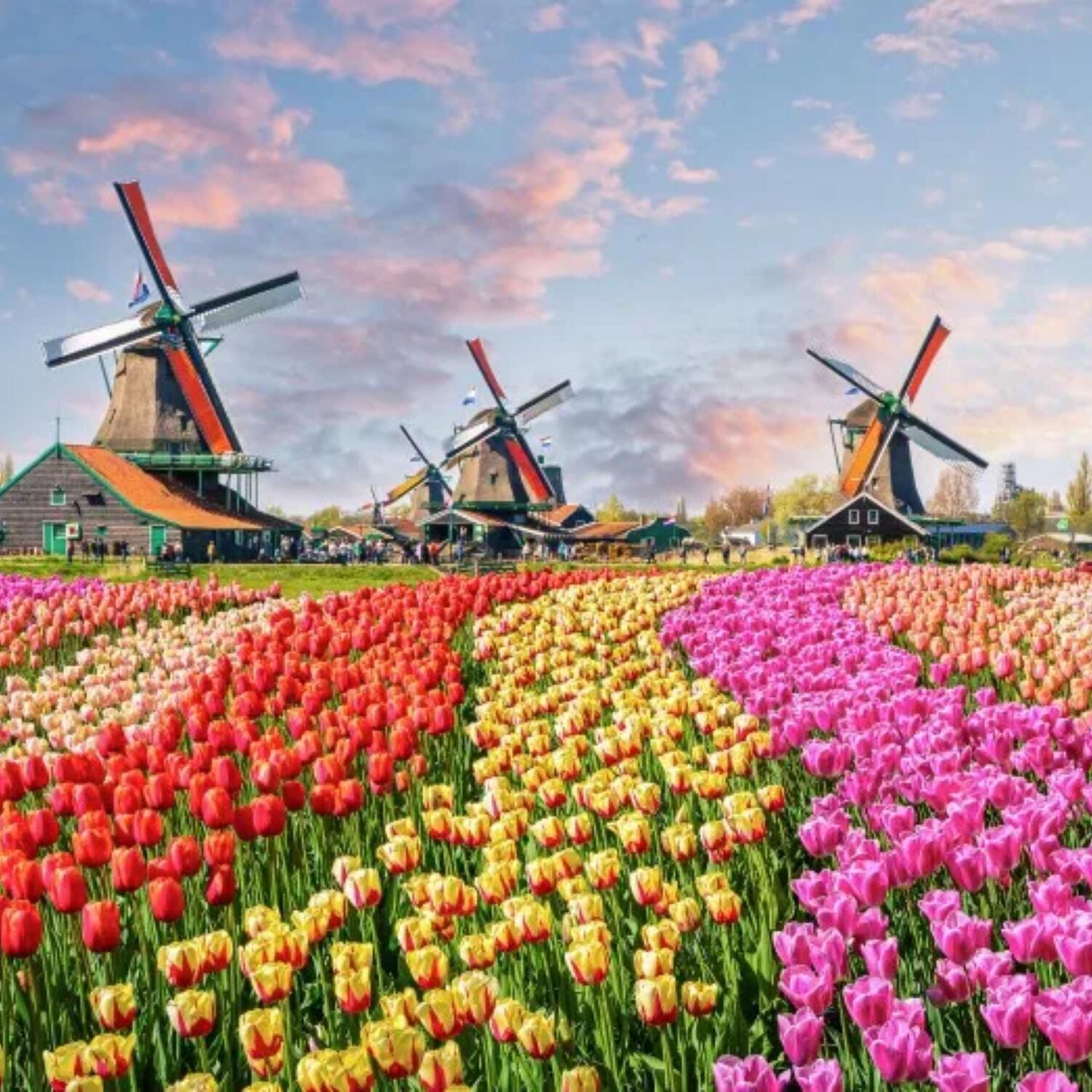 Turen går til Holland